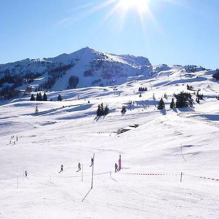 Ferienwohnung Blick Auf Die Berge Pidingerau Eksteriør billede